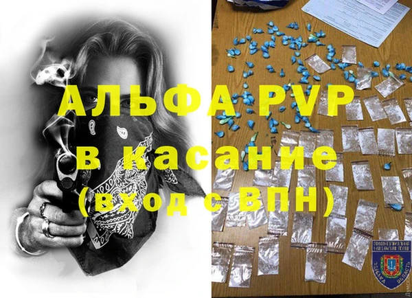 гидра Алексин