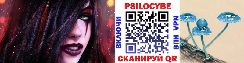 Купить где Волжский Галлюциногенные грибы GOLDEN TEACHER